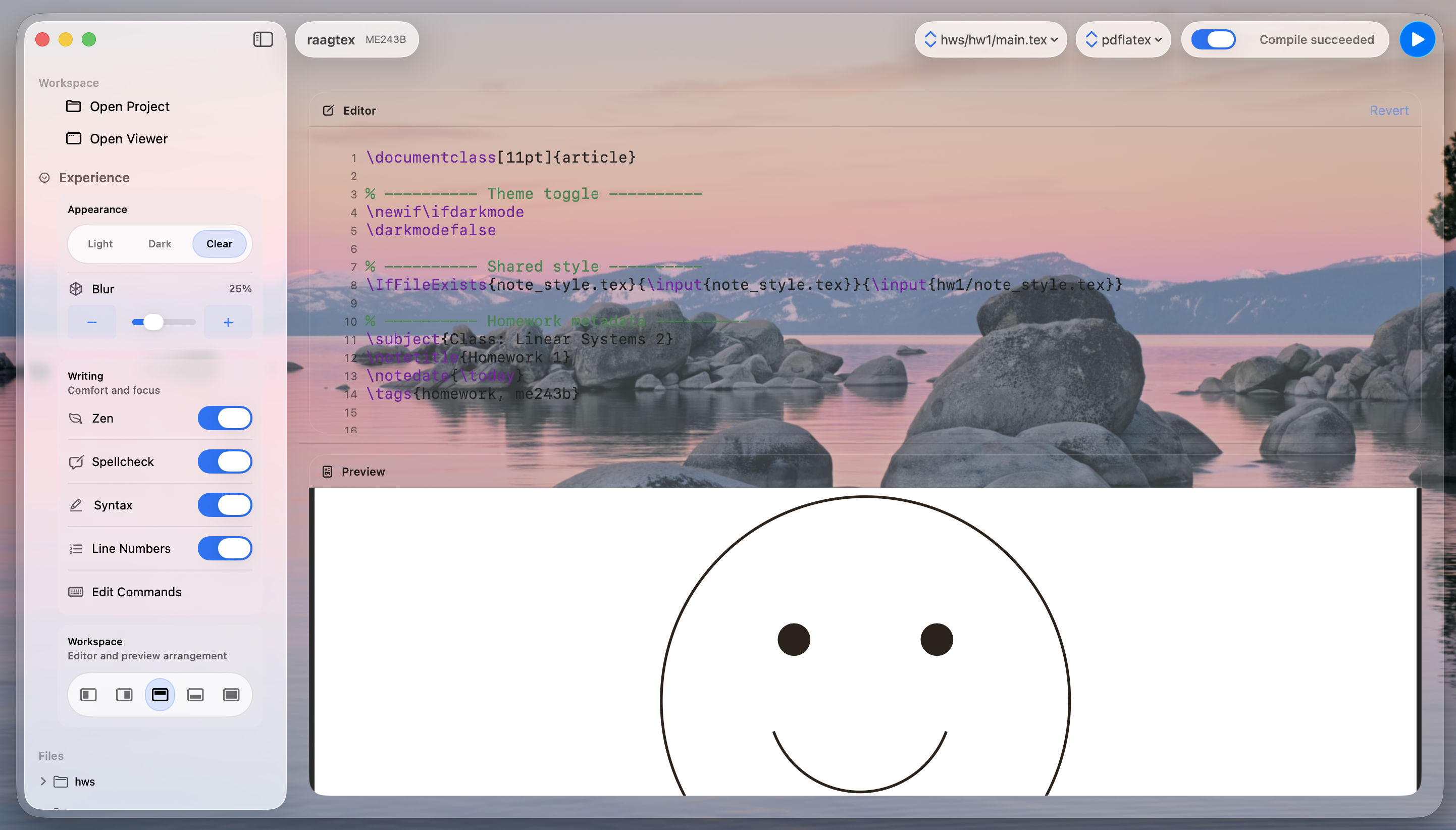 Raagtex stacked editor and PDF view layout